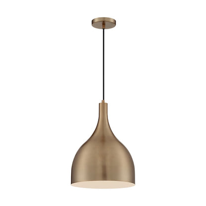 1 Light Pendant