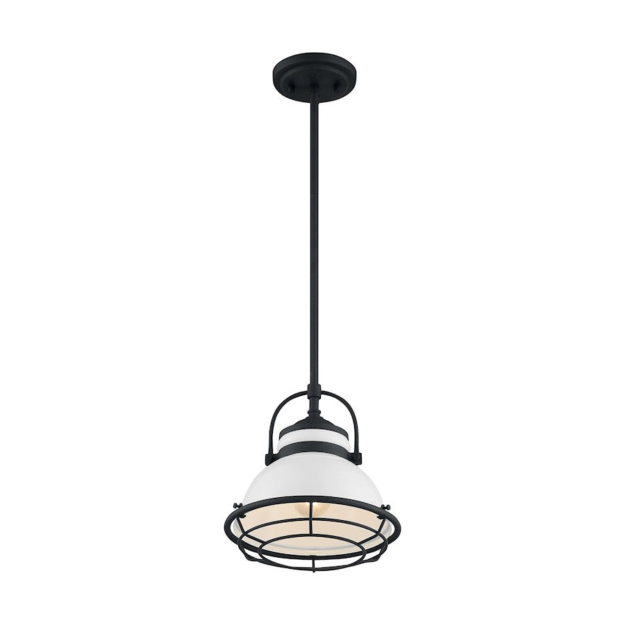 1 Light Pendant