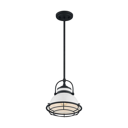 1 Light Pendant