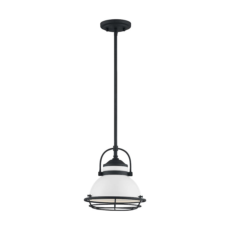 1 Light Pendant