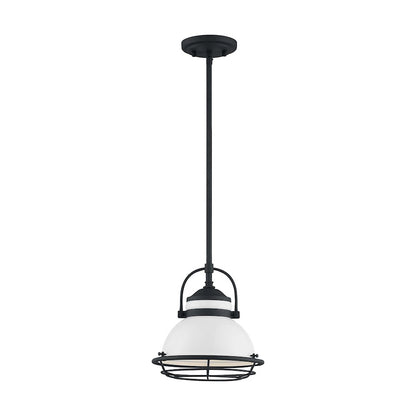 1 Light Pendant