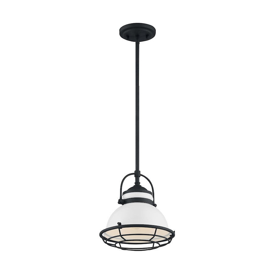 1 Light Pendant