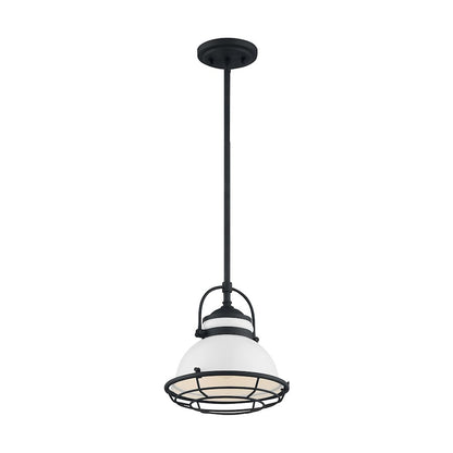 1 Light Pendant