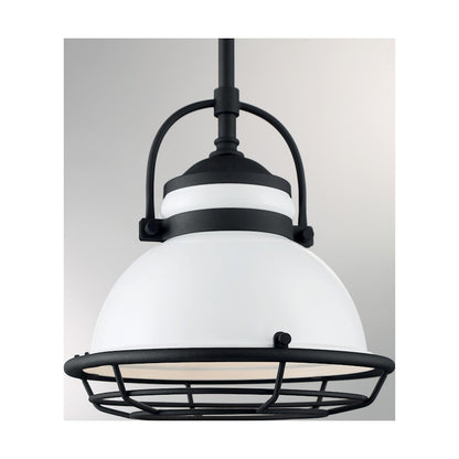 1 Light Pendant
