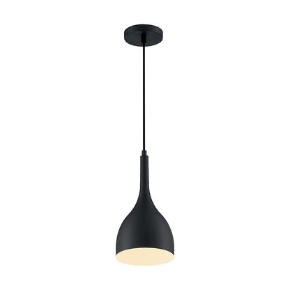 1 Light Pendant