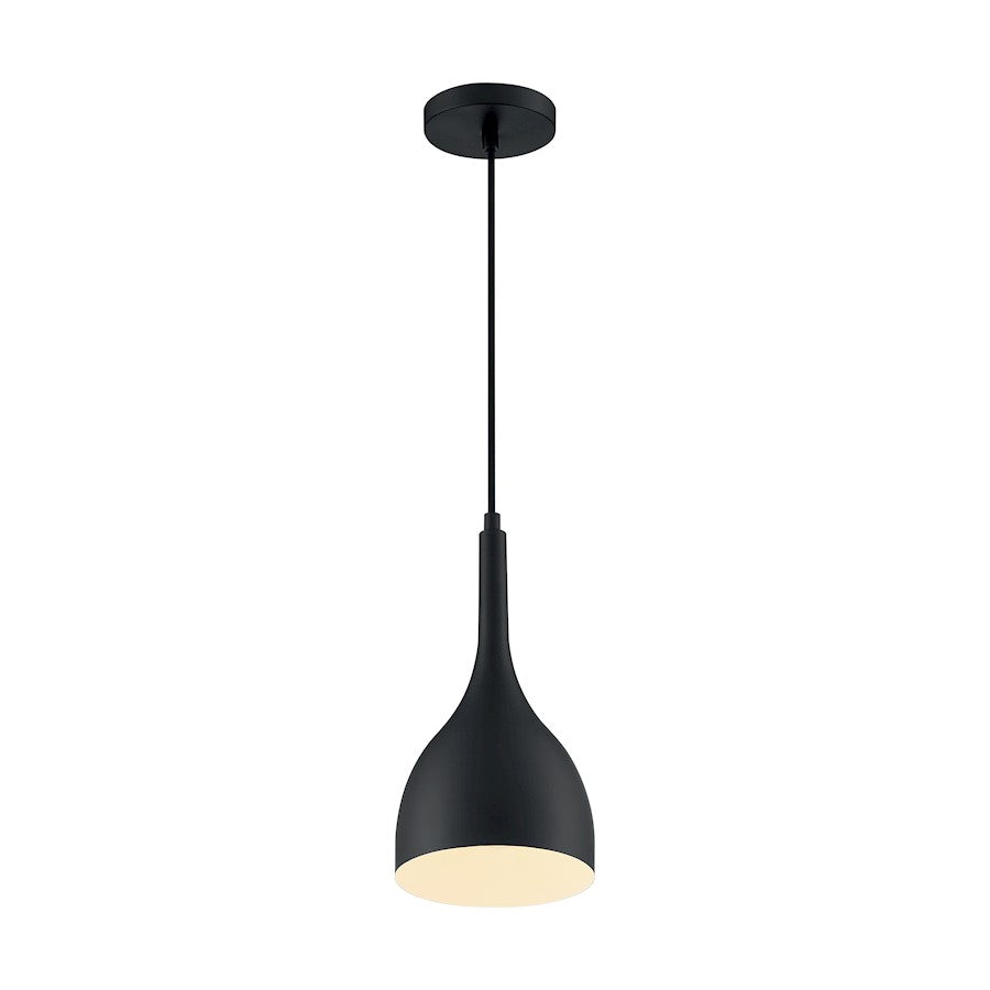 1 Light Pendant