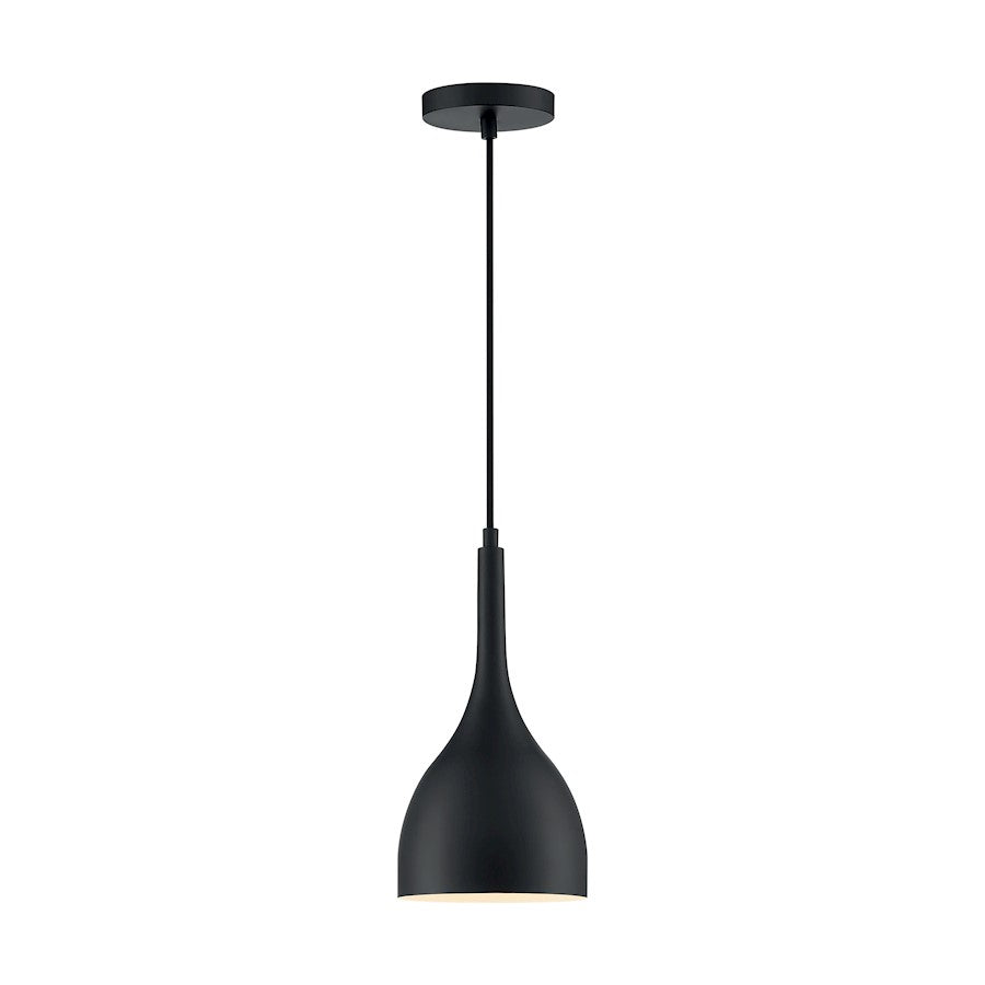 1 Light Pendant
