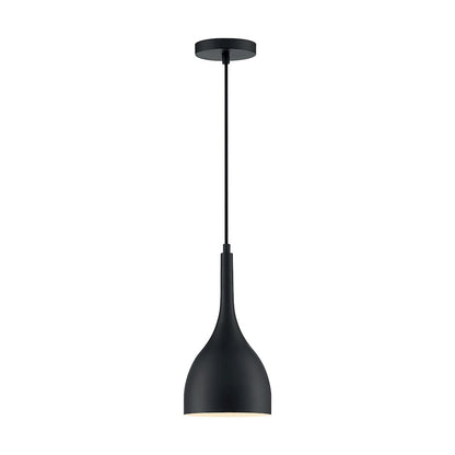 1 Light Pendant