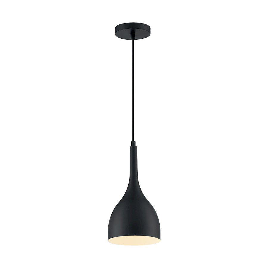 1 Light Pendant