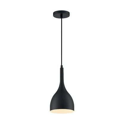 1 Light Pendant