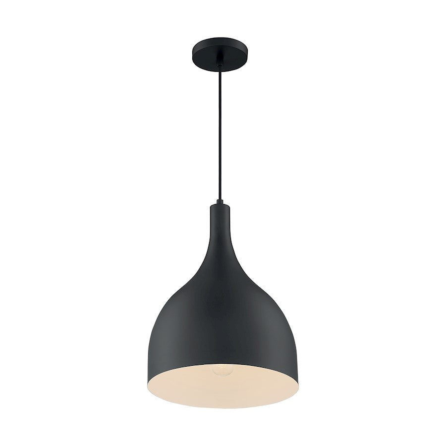 1 Light Pendant