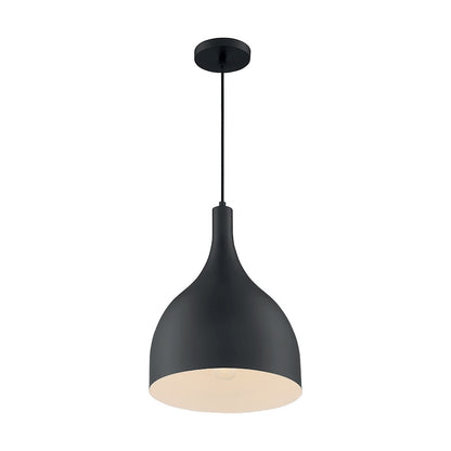 1 Light Pendant