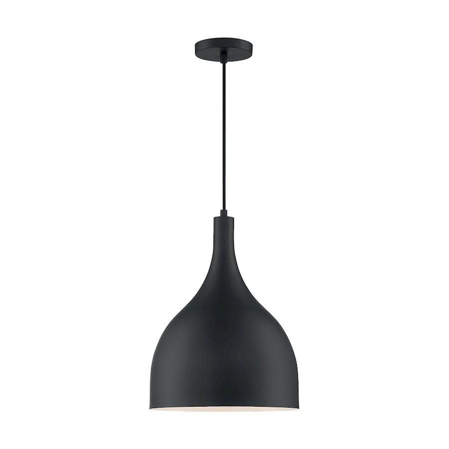 1 Light Pendant