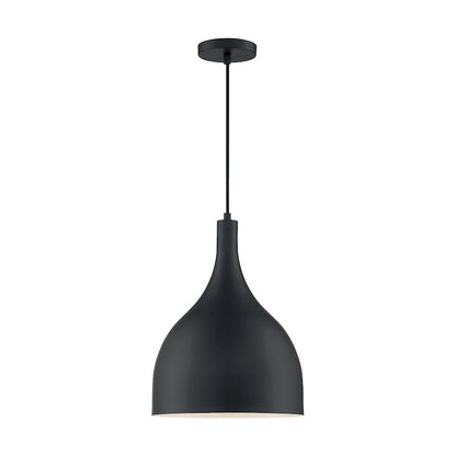 1 Light Pendant