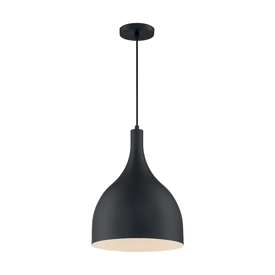 1 Light Pendant