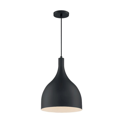 1 Light Pendant