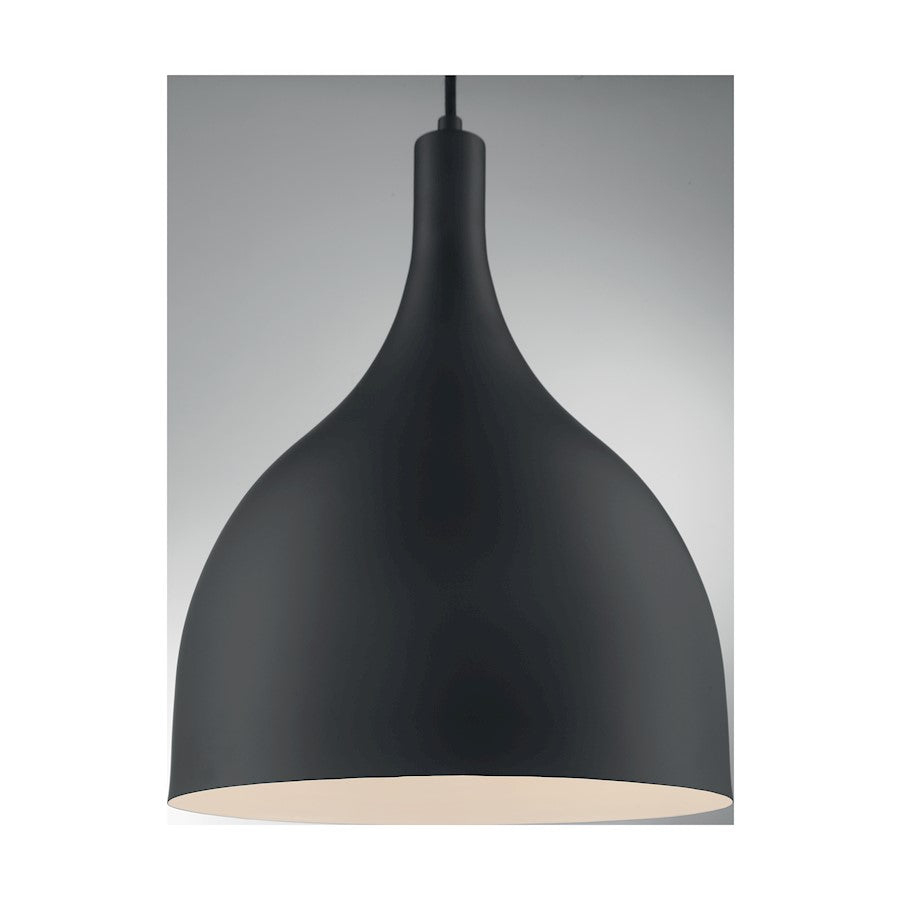 1 Light Pendant