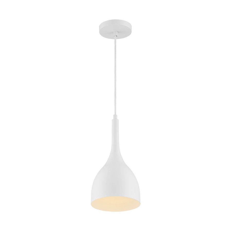 1 Light Pendant