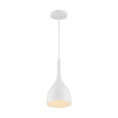 1 Light Pendant