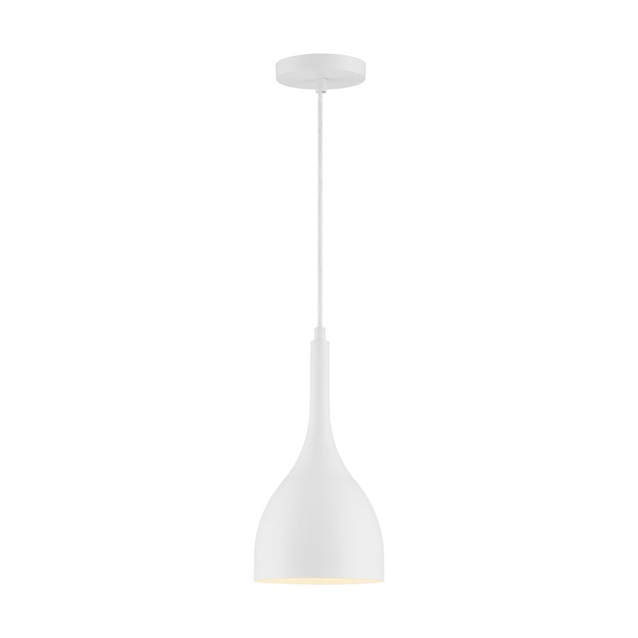 1 Light Pendant