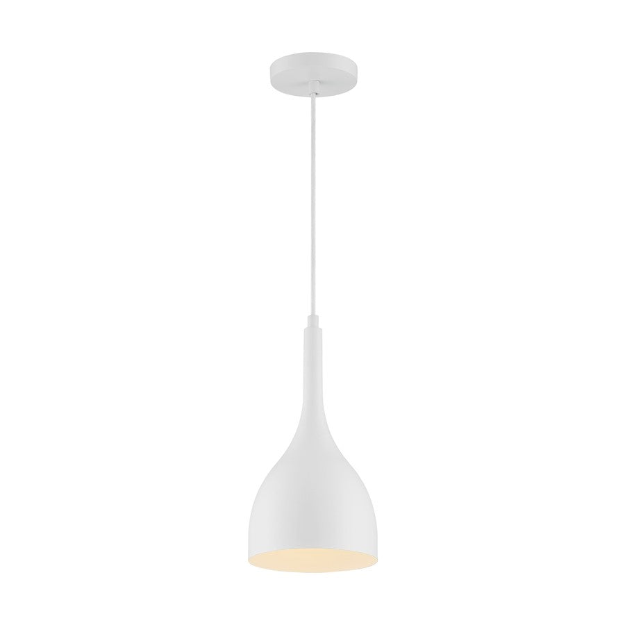 1 Light Pendant
