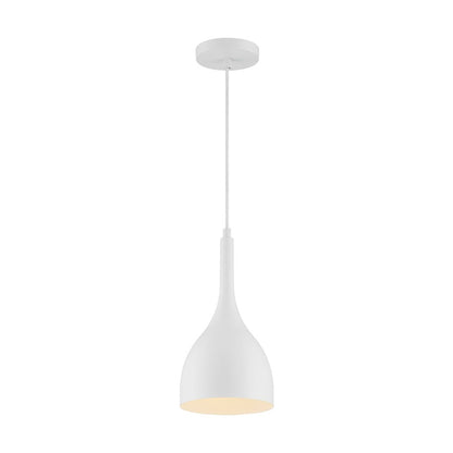 1 Light Pendant