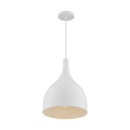 1 Light Pendant