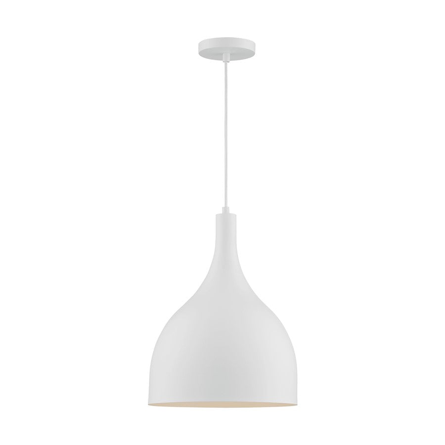 1 Light Pendant