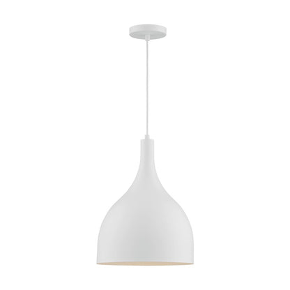 1 Light Pendant