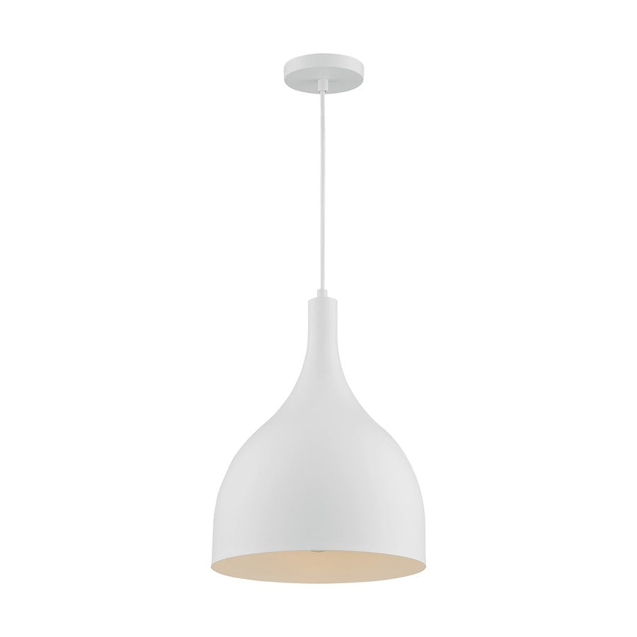 1 Light Pendant