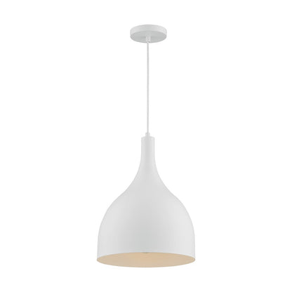 1 Light Pendant