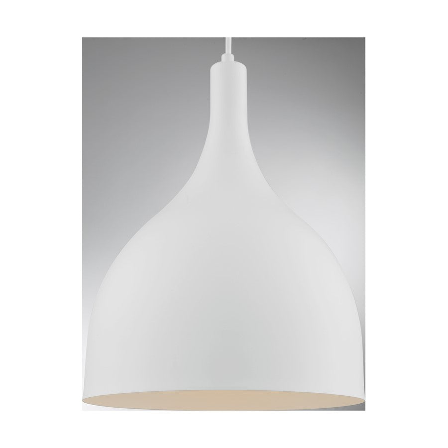 1 Light Pendant