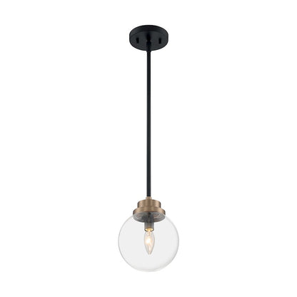 1 Light Pendant