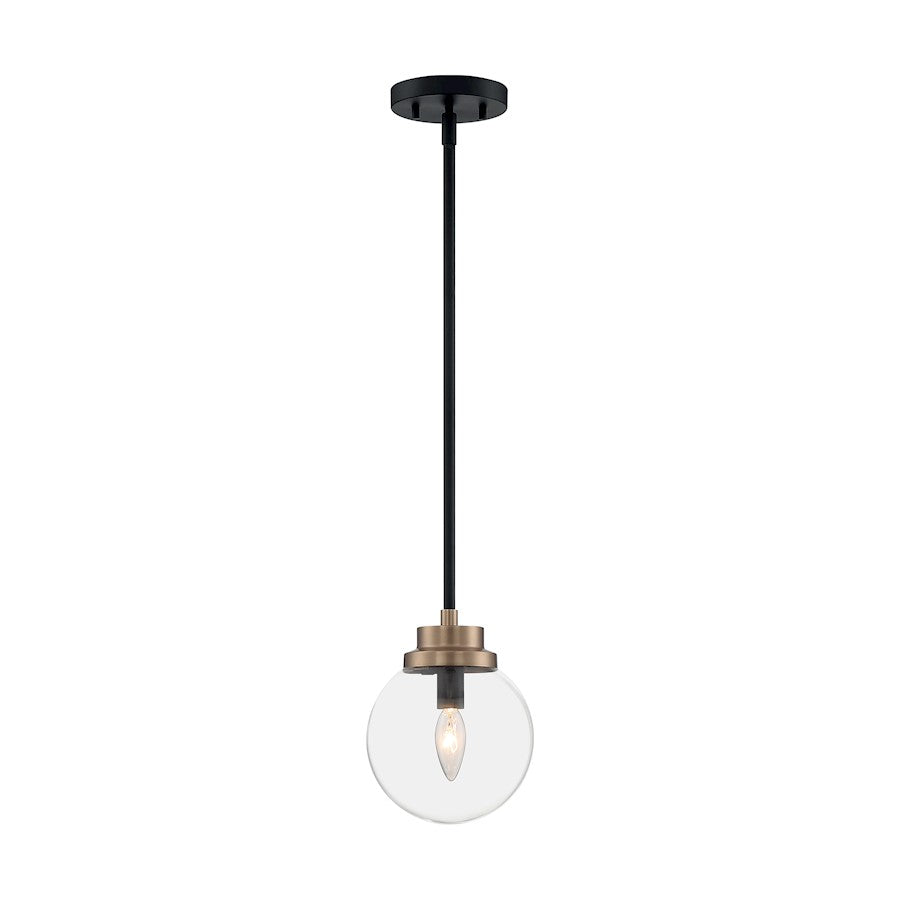 1 Light Pendant