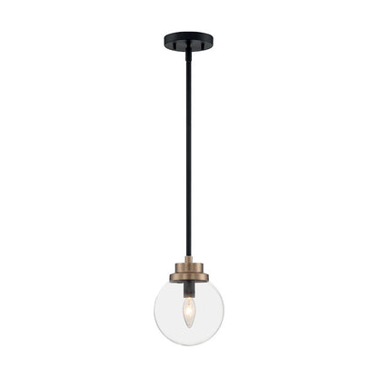 1 Light Pendant
