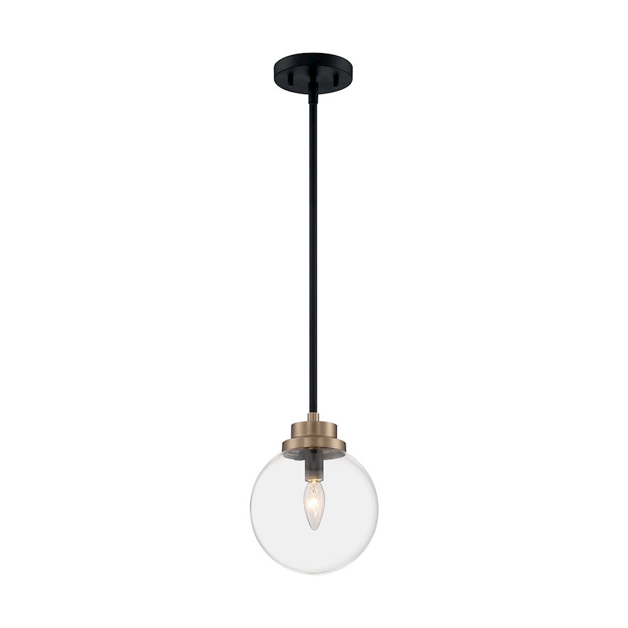 1 Light Pendant