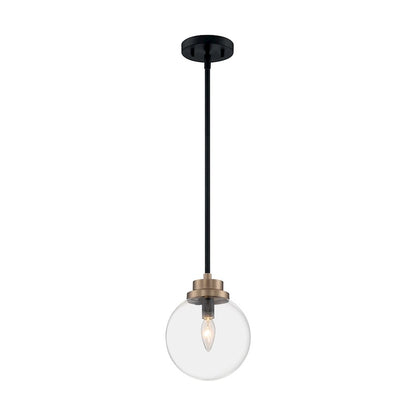 1 Light Pendant