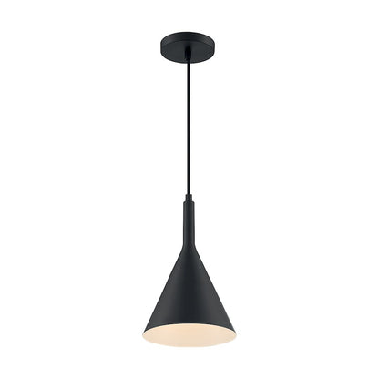 1 Light Pendant