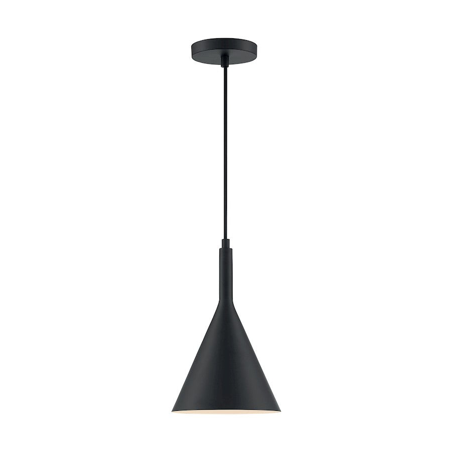 1 Light Pendant