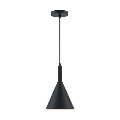 1 Light Pendant