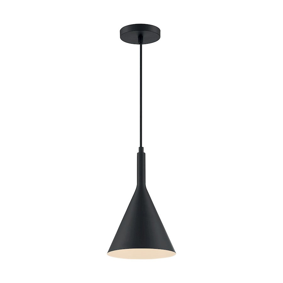 1 Light Pendant