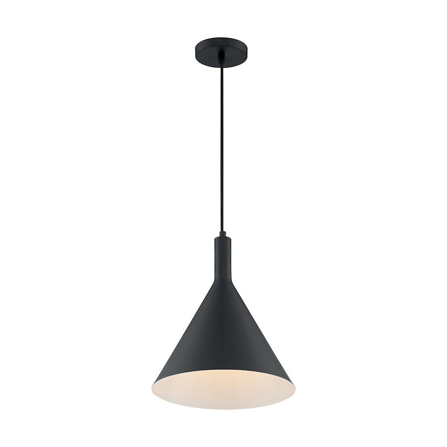 1 Light Pendant