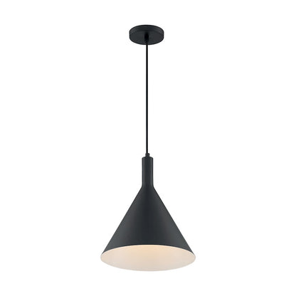 1 Light Pendant