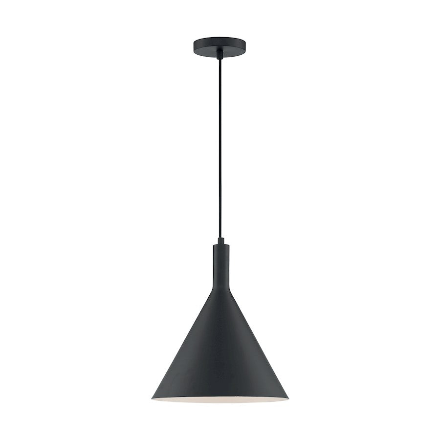 1 Light Pendant