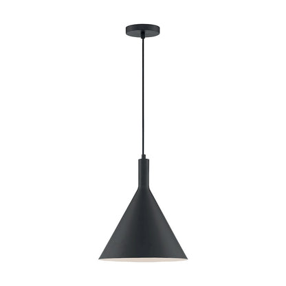 1 Light Pendant
