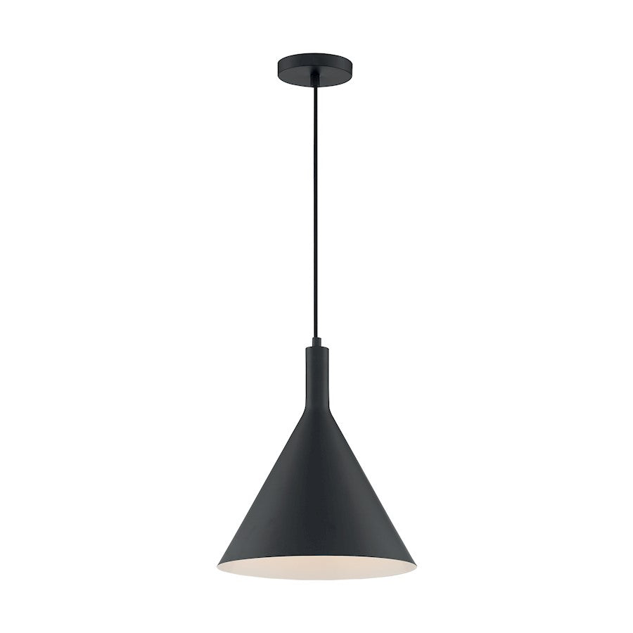 1 Light Pendant