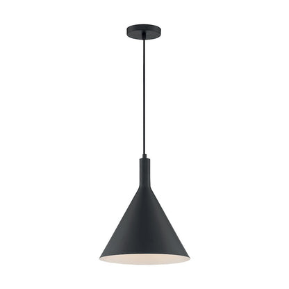 1 Light Pendant
