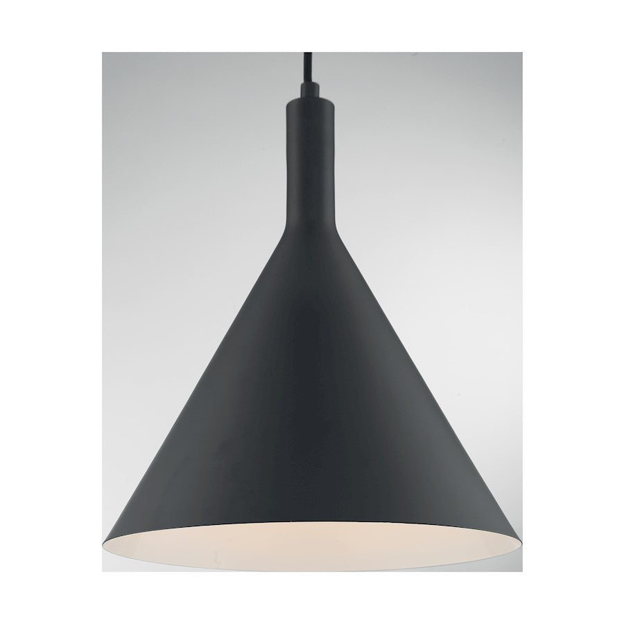 1 Light Pendant