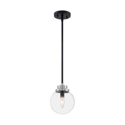 1 Light Pendant