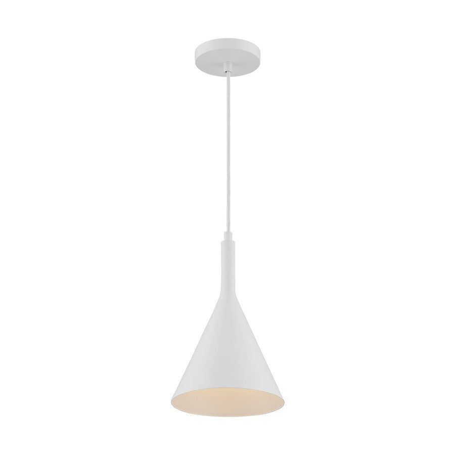 1 Light Pendant
